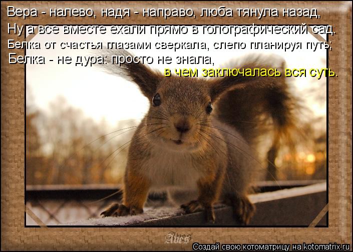 Ну а все вместе ехали прямо в голографический сад. Белка от счастья глазами сверкала, слепо планируя ... Котоматрица: Ну а все вместе ехали прямо в голографический сад. Белка от счастья глазами сверкала, слепо планируя путь; Белка - не дура: просто не знала, в