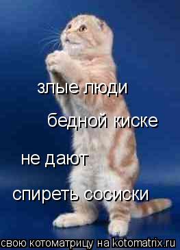 злые люди бедной киске не дают спиреть сосиски... Котоматрица: злые люди бедной киске не дают спиреть сосиски
