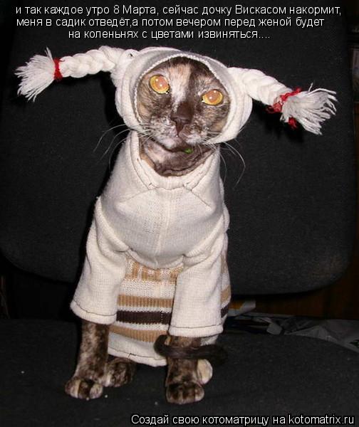 и так каждое утро 8 Марта, сейчас дочку Вискасом накормит, меня в садик отведёт,а потом вечером перед... Котоматрица: и так каждое утро 8 Марта, сейчас дочку Вискасом накормит, меня в садик отведёт,а потом вечером перед женой будет на коленьнях с цветами изв
