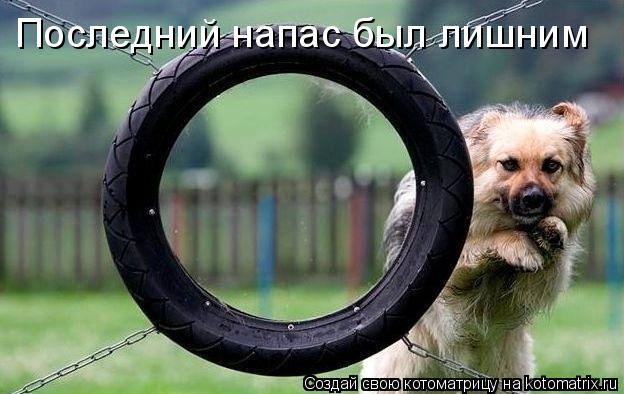 Последний напас был лишним... Котоматрица: Последний напас был лишним