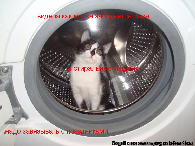 Котоматрица: видела как кошка забирается сама  в стиральную машину надо завязывать с праздниками...
