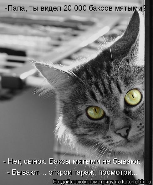 Котоматрица: -Папа, ты видел 20 000 баксов мятыми? - Нет, сынок. Баксы мятыми не бывают. - Бывают.... открой гараж, посмотри...