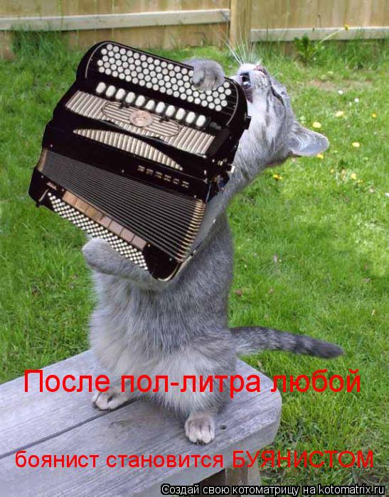После пол-литра любой боянист становится БУЯНИСТОМ... Котоматрица: После пол-литра любой боянист становится БУЯНИСТОМ