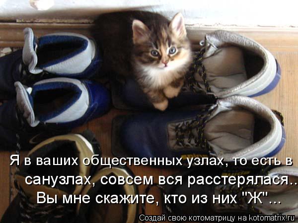 Вы мне скажите, кто из них "Ж"... санузлах, совсем вся расстерялася.. Я в ваших общественных узлах, ... Котоматрица: Вы мне скажите, кто из них "Ж"... санузлах, совсем вся расстерялася.. Я в ваших общественных узлах, то есть в