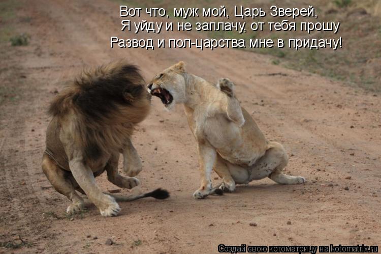Я уйду и не заплачу, от тебя прошу Вот что, муж мой, Царь Зверей, Развод и пол-царства мне в придачу!... Котоматрица: Я уйду и не заплачу, от тебя прошу Вот что, муж мой, Царь Зверей, Развод и пол-царства мне в придачу!