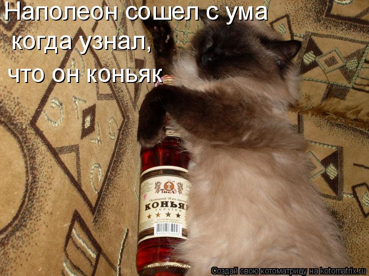 Тост рабочему коллективу Тост рабочему коллективу