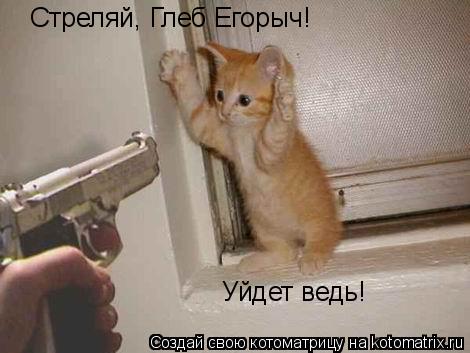 Котоматрица: Стреляй, Глеб Егорыч! Уйдет ведь!
