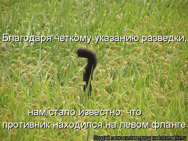 нам стало известно, что Благодаря четкому указанию разведки, противник находился на левом фланге... Котоматрица: нам стало известно, что Благодаря четкому указанию разведки, противник находился на левом фланге