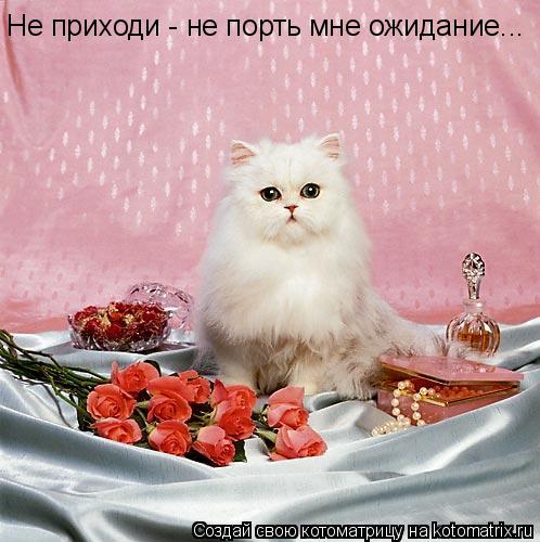 Не приходи - не порть мне ожидание...... Котоматрица: Не приходи - не порть мне ожидание...