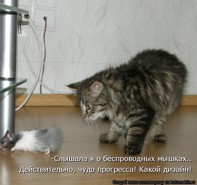 -Слышала я о беспроводных мышках.. Действительно, чудо прогресса! Какой дизайн!... Котоматрица: -Слышала я о беспроводных мышках.. Действительно, чудо прогресса! Какой дизайн!