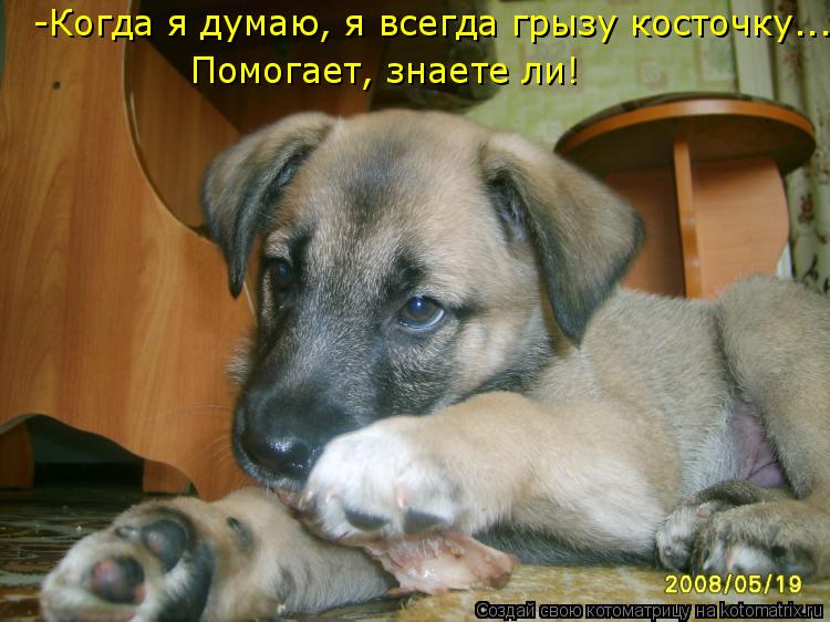 -Когда я думаю, я всегда грызу косточку... Помогает, знаете ли!... Котоматрица: -Когда я думаю, я всегда грызу косточку... Помогает, знаете ли!
