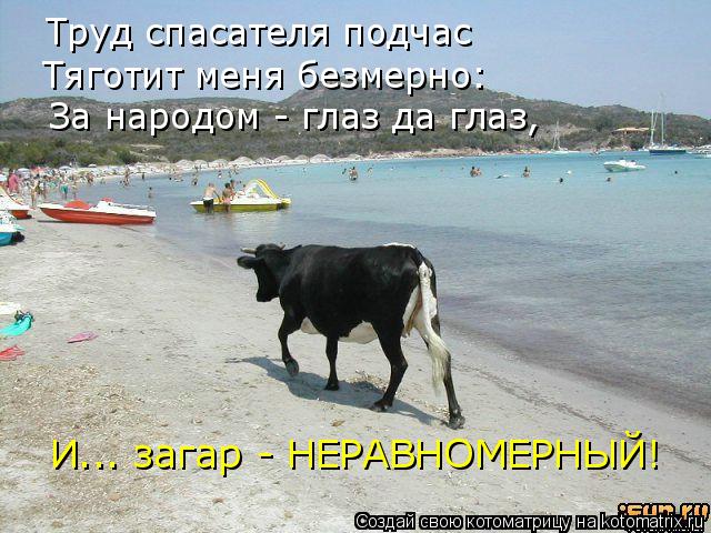 Труд спасателя подчас Тяготит меня безмерно: За народом - глаз да глаз, И... загар - НЕРАВНОМЕРНЫЙ!... Котоматрица: Труд спасателя подчас Тяготит меня безмерно: За народом - глаз да глаз, И... загар - НЕРАВНОМЕРНЫЙ!