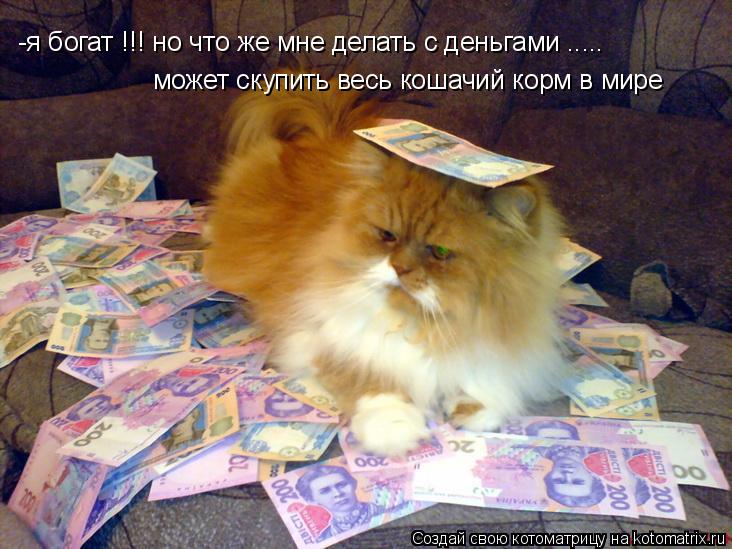 Котоматрица: -я богат !!! но что же мне делать с деньгами ..... может скупить весь кошачий корм в мире