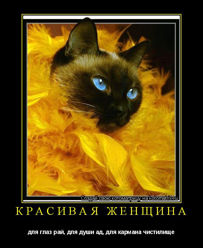 Красивая женщина для глаз рай, для души ад, для кармана чистилище... Котоматрица: Красивая женщина для глаз рай, для души ад, для кармана чистилище