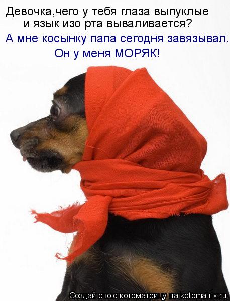 Девочка,чего у тебя глаза выпуклые и язык изо рта вываливается? А мне косынку папа сегодня завязывал.... Котоматрица: Девочка,чего у тебя глаза выпуклые и язык изо рта вываливается? А мне косынку папа сегодня завязывал. Он у меня МОРЯК!