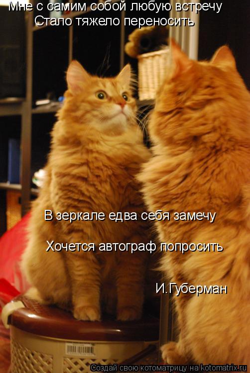 Мне с самим собой любую встречу Стало тяжело переносить В зеркале едва себя замечу Хочется автограф п... Котоматрица: Мне с самим собой любую встречу Стало тяжело переносить В зеркале едва себя замечу Хочется автограф попросить И.Губерман