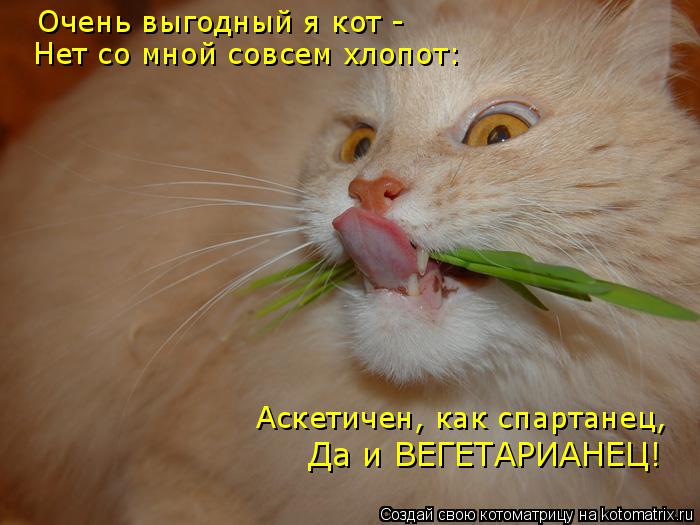Очень выгодный я кот - Нет со мной совсем хлопот: Аскетичен, как спартанец, Да и ВЕГЕТАРИАНЕЦ!... Котоматрица: Очень выгодный я кот - Нет со мной совсем хлопот: Аскетичен, как спартанец, Да и ВЕГЕТАРИАНЕЦ!