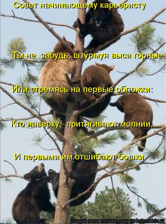 Совет начинающему карьеристу Ты не забудь, штурмуя выси горные , Или стремясь на первые обложки:... Котоматрица: Совет начинающему карьеристу Ты не забудь, штурмуя выси горные , Или стремясь на первые обложки: Кто наверху, притягивают молнии, И перв