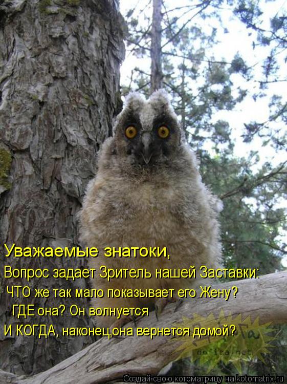 Уважаемые знатоки, ЧТО же так мало показывает его Жену? Вопрос задает Зритель нашей Заставки: ГДЕ о... Котоматрица: Уважаемые знатоки, ЧТО же так мало показывает его Жену? Вопрос задает Зритель нашей Заставки: ГДЕ она? Он волнуется И КОГДА, наконец,она вер