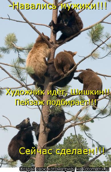 -Навались мужики!!! Художник идёт, Шишкин!! Пейзаж подбирает!!! Сейчас сделаем!!!... Котоматрица: -Навались мужики!!! Художник идёт, Шишкин!! Пейзаж подбирает!!! Сейчас сделаем!!!