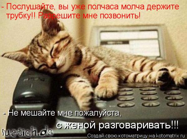 - Послушайте, вы уже полчаса молча держите трубку!! Разрешите мне позвонить! - Не мешайте мне пожалу... Котоматрица: - Послушайте, вы уже полчаса молча держите трубку!! Разрешите мне позвонить! - Не мешайте мне пожалуйста, с женой разговаривать!!!