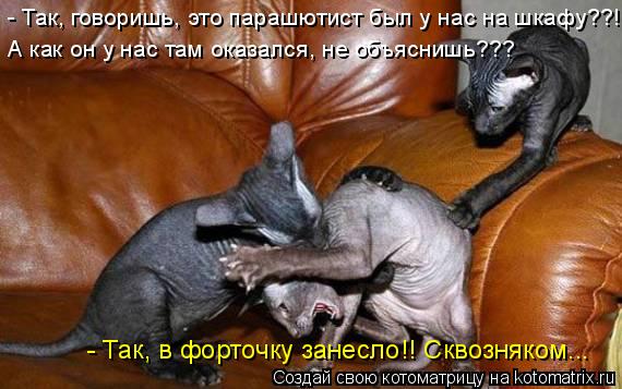 - Так, говоришь, это парашютист был у нас на шкафу??!! А как он у нас там оказался, не объяснишь??? -... Котоматрица: - Так, говоришь, это парашютист был у нас на шкафу??!! А как он у нас там оказался, не объяснишь??? - Так, в форточку занесло!! Сквозняком...