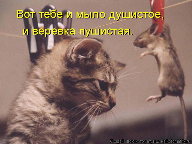 Фото Мыло И Верёвка