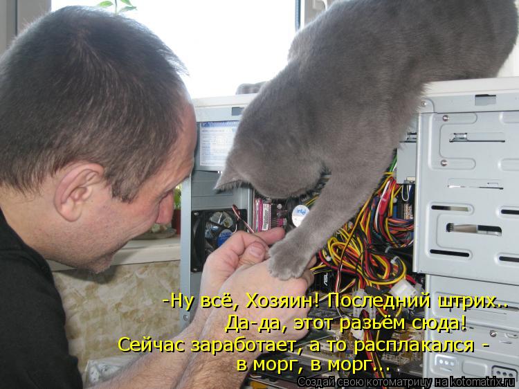 -Ну всё, Хозяин! Последний штрих.. Да-да, этот разьём сюда! Сейчас заработает, а то расплакался - в м... Котоматрица: -Ну всё, Хозяин! Последний штрих.. Да-да, этот разьём сюда! Сейчас заработает, а то расплакался - в морг, в морг...