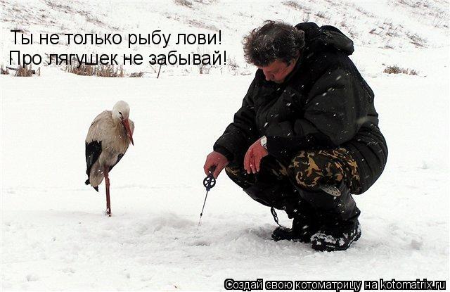 Ты не только рыбу лови! Про лягушек не забывай!... Котоматрица: Ты не только рыбу лови! Про лягушек не забывай!