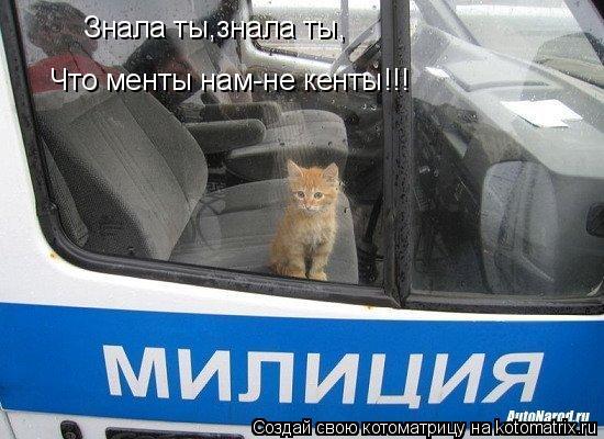 Знала ты,знала ты, Что менты нам-не кенты!!!... Котоматрица: Знала ты,знала ты, Что менты нам-не кенты!!!
