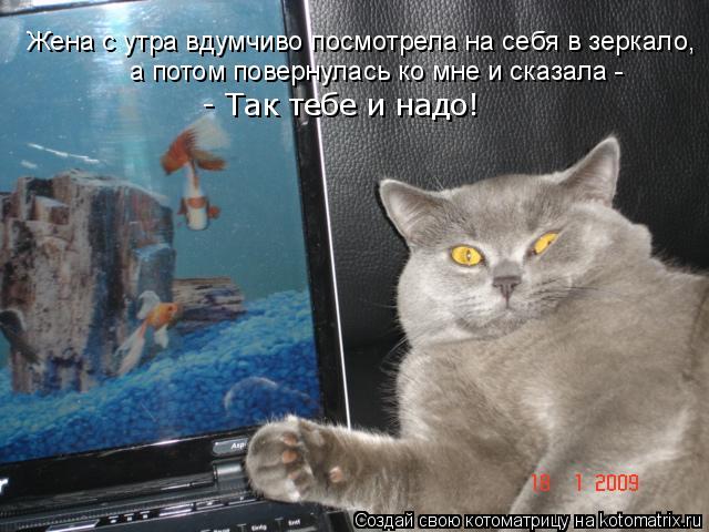 Жена с утра вдумчиво посмотрела на себя в зеркало, а потом повернулась ко мне и сказала - - Так теб... Котоматрица: Жена с утра вдумчиво посмотрела на себя в зеркало, а потом повернулась ко мне и сказала - - Так тебе и надо!