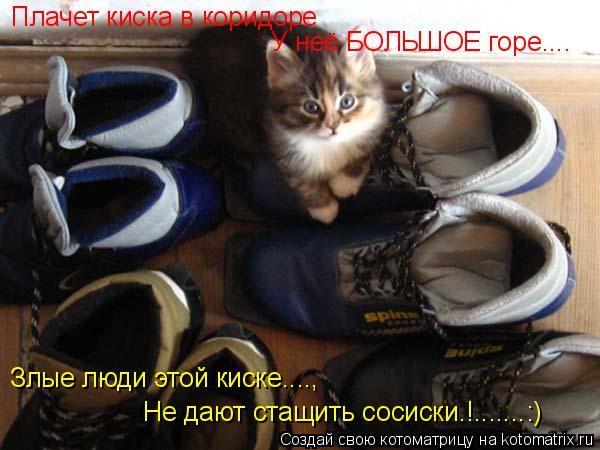 Плачет киска в коридоре У неё БОЛЬШОЕ горе.... Злые люди этой киске...., Не дают стащить сосиски.!...... Котоматрица: Плачет киска в коридоре У неё БОЛЬШОЕ горе.... Злые люди этой киске...., Не дают стащить сосиски.!.......:)