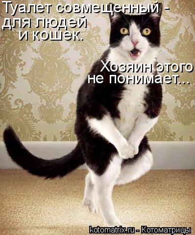 Котоматрица: Туалет совмещенный - для людей и кошек. Хозяин этого  не понимает...
