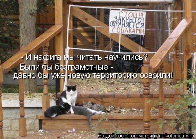- И нафига мы читать научились? Были бы безграмотные - давно бы уже новую территорию освоили!... Котоматрица: - И нафига мы читать научились? Были бы безграмотные - давно бы уже новую территорию освоили!