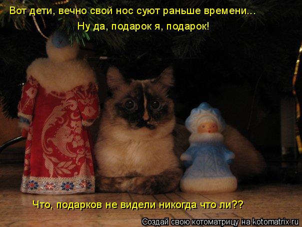 Котоматрица: Вот дети, вечно свой нос суют раньше времени...  Ну да, подарок я, подарок!  Что, подарков не видели никогда что ли??