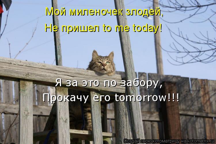 Мой миленочек злодей, Не пришел to me today! Я за это по забору, Прокачу его tomorrow!!!... Котоматрица: Мой миленочек злодей, Не пришел to me today! Я за это по забору, Прокачу его tomorrow!!!