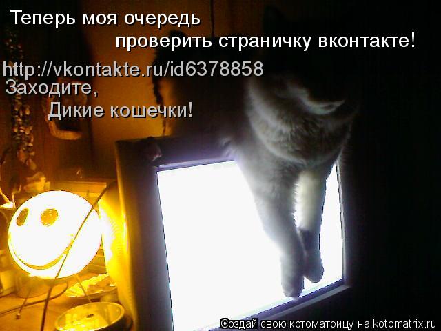 Котоматрица: Теперь моя очередь проверить страничку вконтакте! http://vkontakte.ru/id6378858 Заходите, Дикие кошечки!