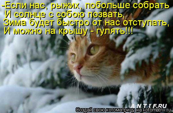 -Если нас, рыжих, побольше собрать И солнце с собою позвать, Зима будет быстро от нас отступать, И мо... Котоматрица: -Если нас, рыжих, побольше собрать И солнце с собою позвать, Зима будет быстро от нас отступать, И можно на крышу - гулять!!!