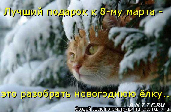 Лучший подарок к 8-му марта - это разобрать новогоднюю ёлку...... Котоматрица: Лучший подарок к 8-му марта - это разобрать новогоднюю ёлку...
