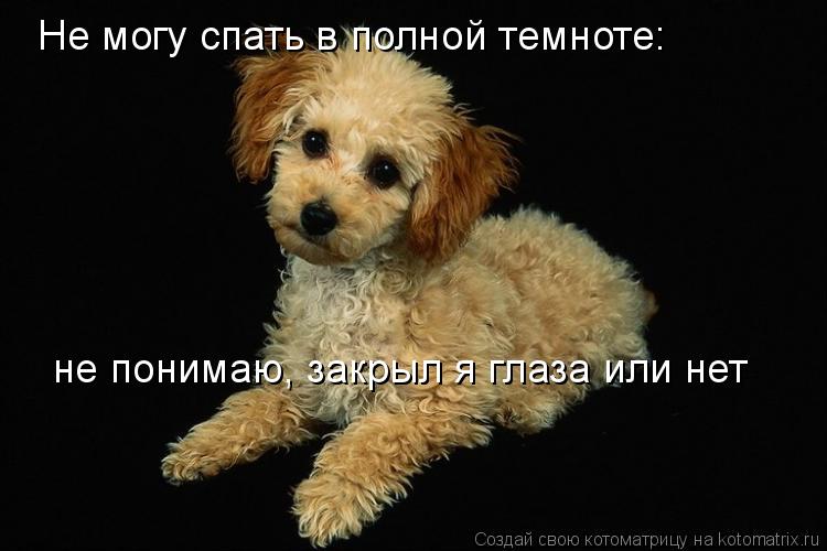 Не могу спать в полной темноте: не понимаю, закрыл я глаза или нет... Котоматрица: Не могу спать в полной темноте: не понимаю, закрыл я глаза или нет
