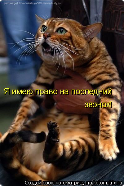 Я имею право на последний звонок!... Котоматрица: Я имею право на последний звонок!