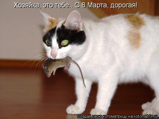 Котоматрица: Хозяйка, это тебе.. С 8 Марта, дорогая!