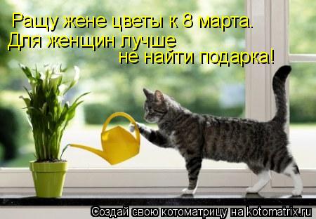 Ращу жене цветы к 8 марта. Для женщин лучше не найти подарка!... Котоматрица: Ращу жене цветы к 8 марта. Для женщин лучше не найти подарка!