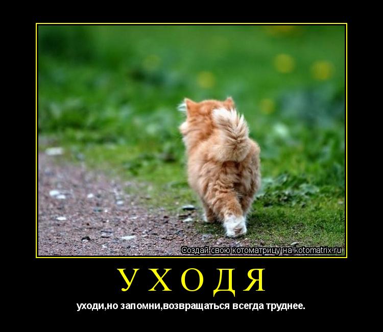 УХОДЯ уходи,но запомни,возвращаться всегда труднее.... Котоматрица: УХОДЯ уходи,но запомни,возвращаться всегда труднее.