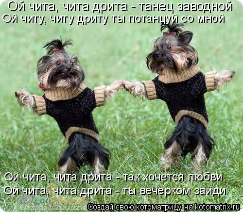 Ой чита, чита дрита - танец заводной Ой читу, читу дриту ты потанцуй со мной Ой чита, чита дрита - ... Котоматрица: Ой чита, чита дрита - танец заводной Ой читу, читу дриту ты потанцуй со мной Ой чита, чита дрита - так хочется любви, Ой чита, чита дрита - ты ве