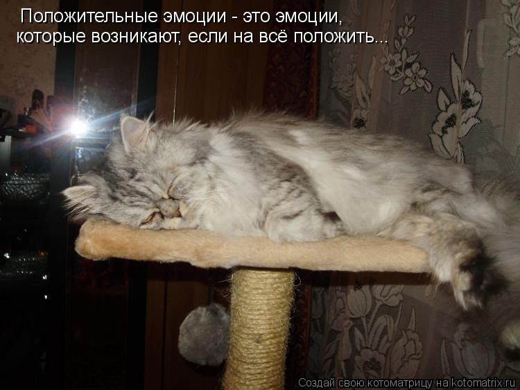 Положительные эмоции - это эмоции, которые возникают, если на всё положить...... Котоматрица: Положительные эмоции - это эмоции, которые возникают, если на всё положить...