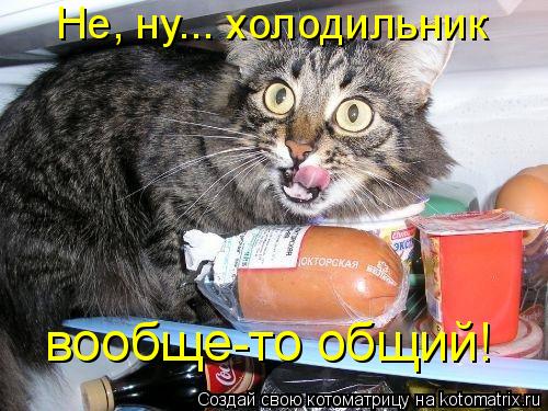 Котоматрица: Не, ну... холодильник  вообще-то общий!