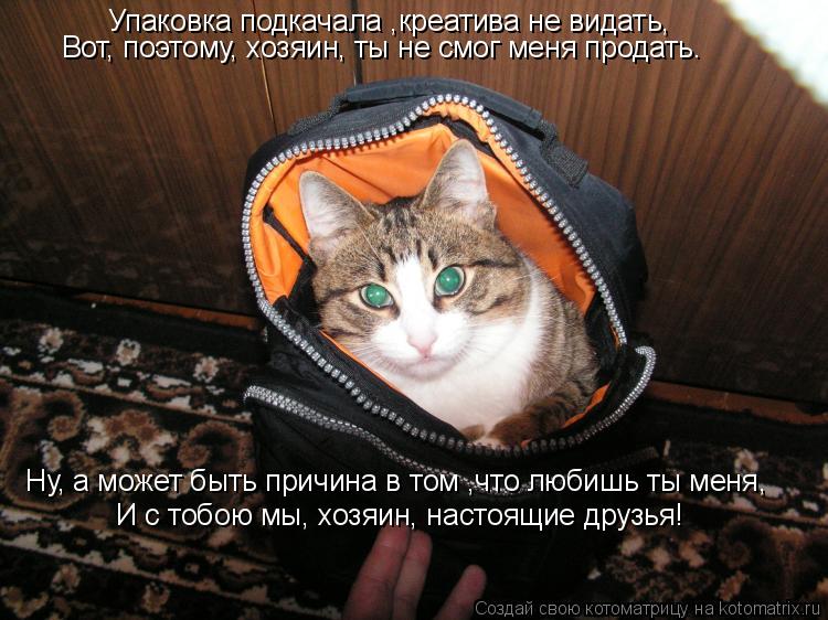 Упаковка подкачала ,креатива не видать, Вот, поэтому, хозяин, ты не смог меня продать. Ну, а может бы... Котоматрица: Упаковка подкачала ,креатива не видать, Вот, поэтому, хозяин, ты не смог меня продать. Ну, а может быть причина в том ,что любишь ты меня, И с то