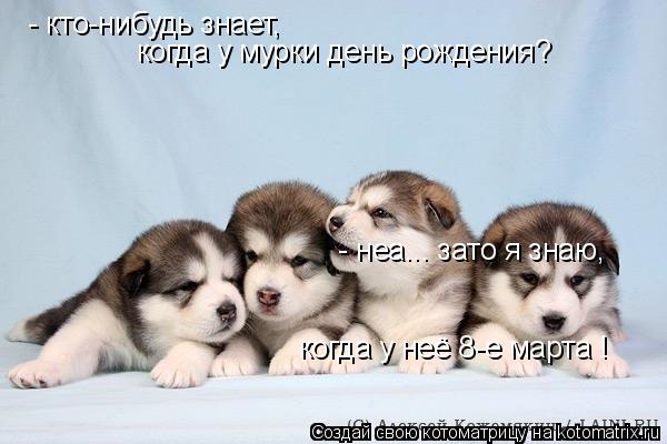 - кто-нибудь знает, когда у мурки день рождения? - неа... зато я знаю, когда у неё 8-е марта !... Котоматрица: - кто-нибудь знает, когда у мурки день рождения? - неа... зато я знаю, когда у неё 8-е марта !