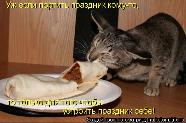 Уж если портить праздник кому-то, то только для того чтобы устроить праздник себе! то только для того... Котоматрица: Уж если портить праздник кому-то, то только для того чтобы устроить праздник себе! то только для того чтобы устроить праздник себе!